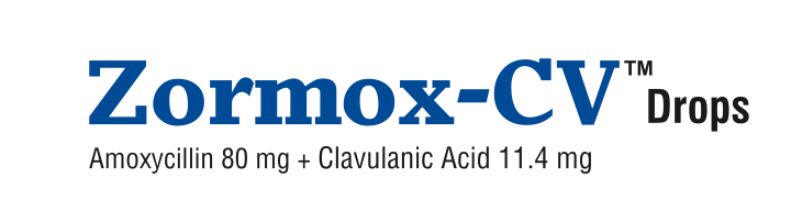 Zormox CV ES Dry Syrup